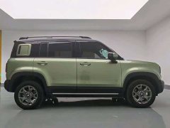 Neta Plus 301kmFlagship Edition - фото 11