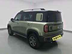 Neta Plus 301kmFlagship Edition - фото 6