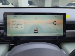 Neta Plus 301kmFlagship Edition - фото 14