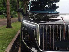 Hongqi HQ9 PHEV 2.0T AWDLuxury Edition - фото 8