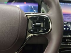 Leapmotor Leapmoo C11 2021 Exclusive Edition - фото 15