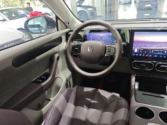 Leapmotor Leapmoo C11 2021 Exclusive Edition - фото 17