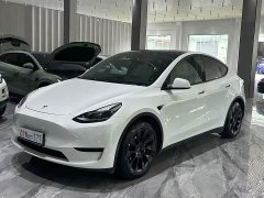 Tesla Model Y rear-wheel drive version - фото 1