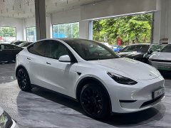 Tesla Model Y rear-wheel drive version - фото 3
