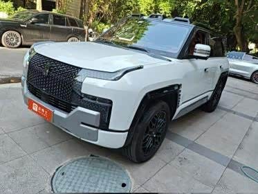 Yangwang U8 Luxury Edition