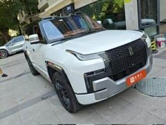 Yangwang U8 Luxury Edition - фото 2