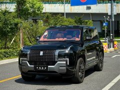 Yangwang U8 Luxury Edition - фото 1