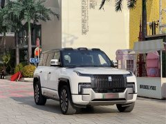 Yangwang U8 Luxury Edition - фото 2