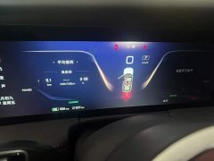 Hongqi E-HS9 2022 690km Qixiang Edition Six-Seater - фото 7
