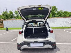 smart #1 Pro - фото 9