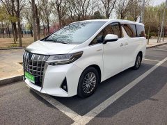 Toyota Alfa 2020 Shuangqing 2.5L Premium Edition - фото 1