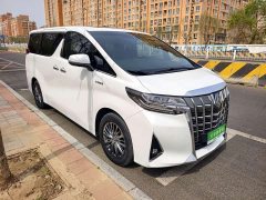 Toyota Alfa 2020 Shuangqing 2.5L Premium Edition - фото 3