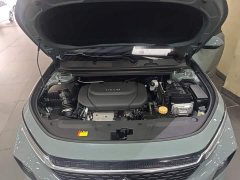 Baojun Valli 1.5T CVTDeluxe Version - фото 20