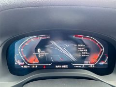 BMW X3 xDrive25i Luxury Package - фото 12