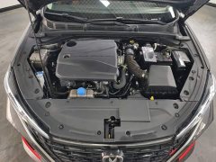 Eado PLUS Blue Whale NE 1.4T GDI DCT High-Energy Edition - фото 10