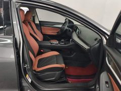 Eado PLUS Blue Whale NE 1.4T GDI DCT High-Energy Edition - фото 8