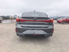 Changan EADO PLUS Blue Whale NE 1.4T GDI DCT Premium Edition - фото 6