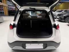 smart#1 Pulse Edition - фото 20