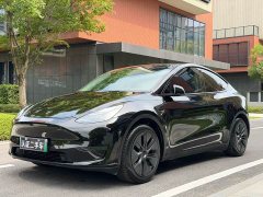Tesla Model Y 2023 Rear-Wheel Drive - фото 1