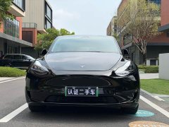 Tesla Model Y 2023 Rear-Wheel Drive - фото 2