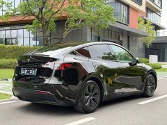 Tesla Model Y 2023 Rear-Wheel Drive - фото 6