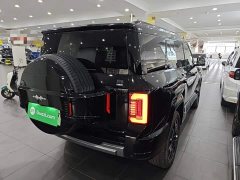 Fangchengbao Leopard 8 2025 Zhiyong flagship version 7 seats - фото 7
