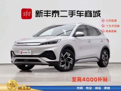 BYD PLUS 510KM Flagship Version - фото 1