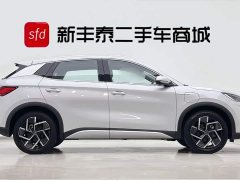 BYD PLUS 510KM Flagship Version - фото 3