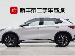 BYD PLUS 510KM Flagship Version - фото 4