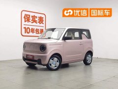 Geely Panda 2023 Panda mini 200km endurance bear - фото 1