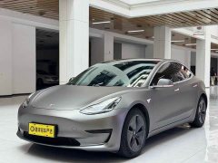 Tesla Model 3 Standard Range Edition 3D6 - фото 1