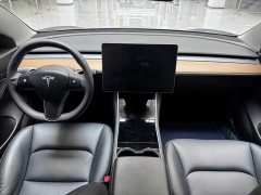Tesla Model 3 Standard Range Edition 3D6 - фото 15