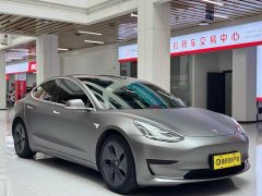 Tesla Model 3 Standard Range Edition 3D6 - фото 3