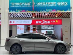 Tesla Model 3 Standard Range Edition 3D6 - фото 4
