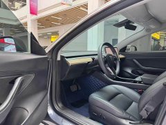Tesla Model 3 Standard Range Edition 3D6 - фото 9