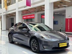 Tesla Model 3 Standard Range Rear Drive Upgraded Version - фото 1