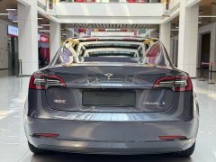 Tesla Model 3 Standard Range Rear Drive Upgraded Version - фото 6