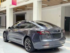 Tesla Model 3 Standard Range Rear Drive Upgraded Version - фото 7