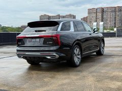 Hongqi E-HS9 2022 690km Qixiang Edition Six-Seater - фото 4