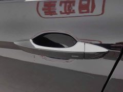Volkswagen Magotan 2023 2 Million Edition 330TSI DSG Luxury - фото 18