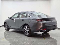 Eado PHEV 2025 Smart New Blue Whale 145KM Battleship Edition - фото 4