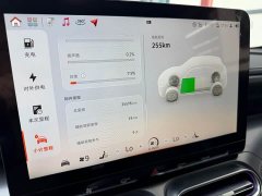 smart#1 Premium Edition - фото 16
