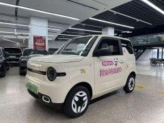 Geely Panda mini 210km Yuanqi Edition - фото 1