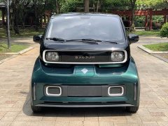Baojun KiWi EV Designer Lite Edition LFP - фото 9