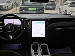 Hongqi HS7 PHEV 2.0T PHEV AWD Edition 7 - фото 15