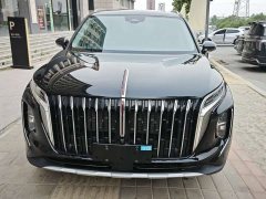 Hongqi HS7 PHEV 2.0T PHEV AWD Edition 7 - фото 2