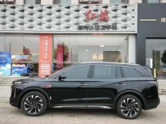 Hongqi HS7 PHEV 2.0T PHEV AWD Edition 7 - фото 3