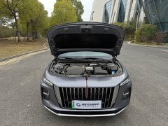 Hongqi H5 PHEV 170 Ultra Hybrid Edition - фото 19
