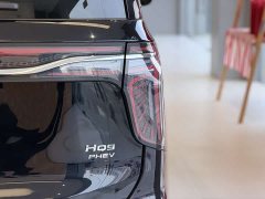 Hongqi HQ9 PHEV 2.0T AWD Business Edition - фото 11