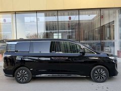 Hongqi HQ9 PHEV 2.0T AWD Business Edition - фото 11